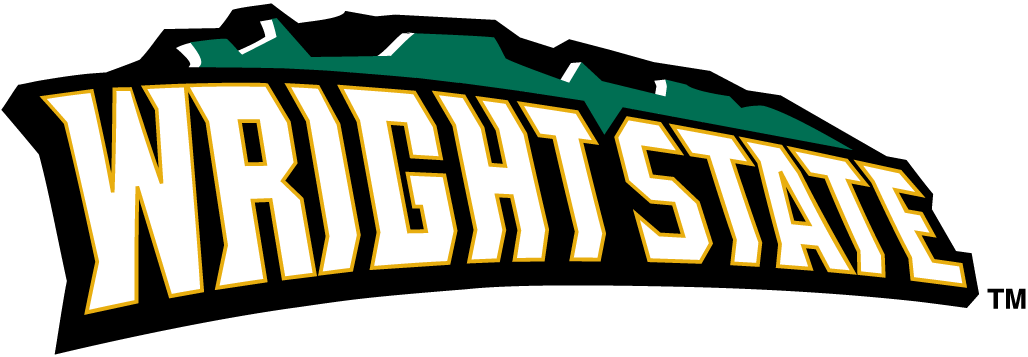 Wright State Raiders 2001-Pres Wordmark Logo v2 iron on transfers for clothing